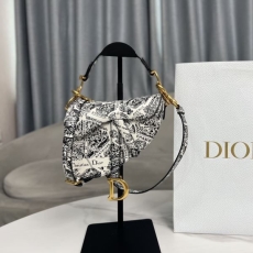 Christian Dior Saddle Bags